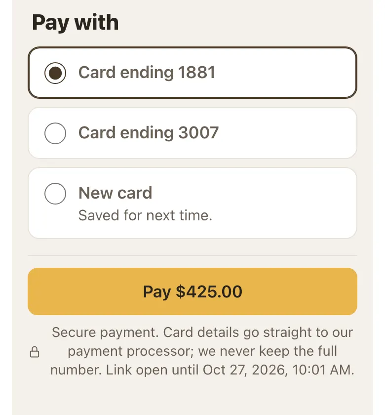 Pay with options: Card ending 1881, Card ending 3007, New card, and a gold Pay $425.00 button